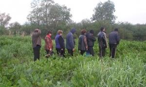 На українсько-польському кордоні затримали вірменів