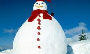 Шотландську сім'ю заарештували за ліплення сніговика