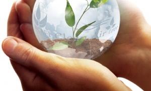 У Гонконгу продають чисте повітря