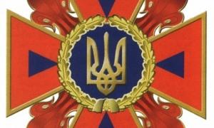 У запорізькому банку знайшли муміфіковану кішку