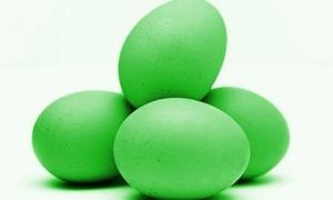 В Росії кури почали нести зелені яйця