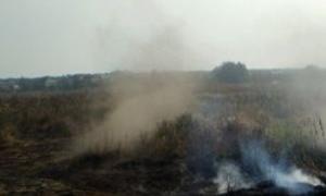Дим від пожежі на мулових полях безпечний для населення