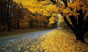 Погода в Україні на суботу, 31 жовтня