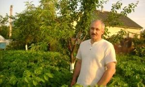 Волинь має стати маленькою Голландією в Україні