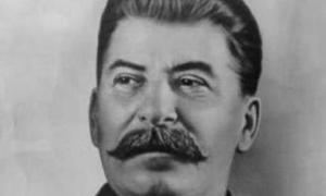 Опозиційний Кабмін намагається не допустити встановлення пам'ятника Сталіну