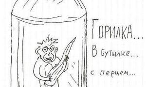 Алкоголь в Україні стрімко подорожчав 