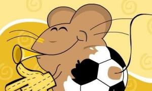 Дніпропетровськ буде спортивною столицею України