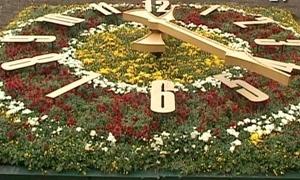 Час до “Євро-2012” відраховуватиме унікальний квітковий годинник