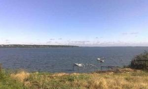 На Дніпропетровщині вкрали острів площею 70 гектарів