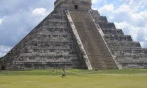 Мексиканські селяни під час посадки авокадо відкопали піраміду