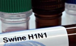 Кожна 5-та дитина у Великій Британії перехворіла на грип A/H1N1