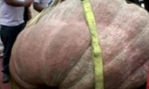 Перед святом Хелловін у Сполучених Штатах - гарбузовий бум