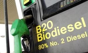 Біодизель в Україні мають додавати до всіх видів нафтового палива