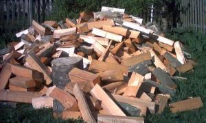 У Білорусі видають зарплату дровами