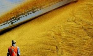 Україна і Росія розглянули можливість будівницва спільних зернових терміналів