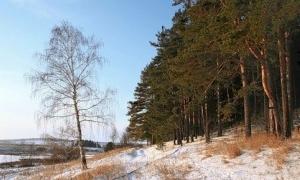 В Україні продовжує теплішати