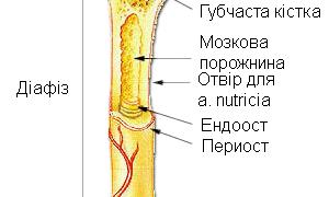 Штучні кістки роблять із вугілля