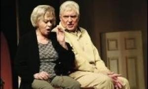 Аліса Фрейндліх виступила у столичному Театрі імені Франка