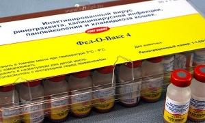 Вакцинація дітей у світі cягає рекордного рівня, але не всі країни мають рівний доступ до вакцин