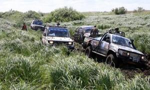 Янукович, Червоненко і Катеринчук доїдуть до Світязя?