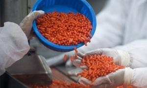 Епідемія свинячого грипу принесе фармацевтам 7 мільярдів доларів