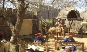 Найстаріша популяція людей  живе в Африці