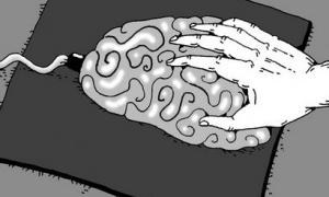 Названо фермент, який керує відновленням нервових волокон