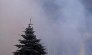 У Києві горіло 10 гектарів лісу