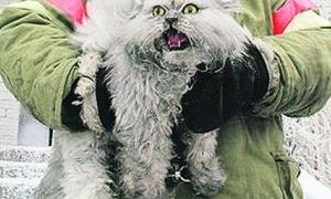 Еменесники розповіли про найбільш незвичайні порятунки