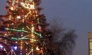 У Луцьку ялинку засвітять на Миколая