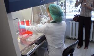 На Волині відкрили лабораторію для перевірки харчових продуктів на вміст ГМ
