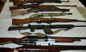 В Ягодині вилучили 14 контрабандних гвинтівок