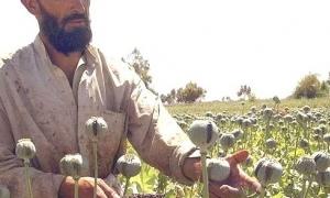 ЄС – найбільший ринок для збуту героїну