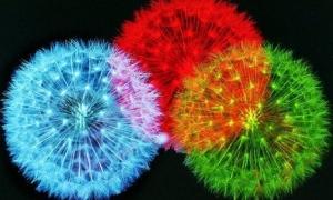 Шоу феєрверків відбудеться 4 вересня в Києві 