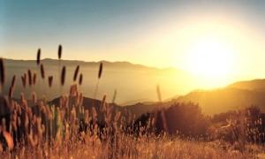 У перші дні липня в Україні буде спекотно