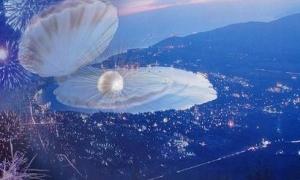 Самотній француз на Різдво знайшов перлину в устриці