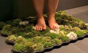 У Швейцарії придумали килимок з моху