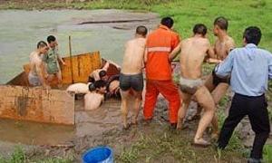 Сором’язливого китайця сім годин діставали з річки Янцзи