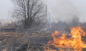 У Криму горів Карадазький заповідник
