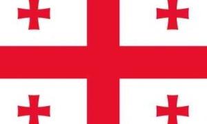 Грузію запропонували поділити на штати