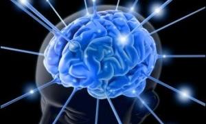 Декілька цікавих фактів про наш мозок