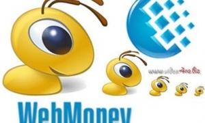 Штраф ДАІ можна сплатити за допомогою інтернет-розрахунків WebMoney