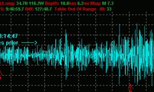 Потужний землетрус стався у Японії