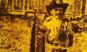 Художник створив панно з 200 тисяч мертвих мурах