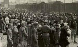 Будівельники знайшли послання в'язнів Освенцима