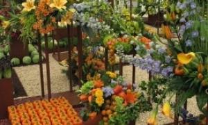 Гості Квіткового шоу в Челсі побачили «Антикризові» сади