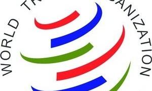 Україна зробила прорив з експорту продовольчих товарів - СОТ