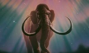 До смерті мамонтів призвело падіння комети