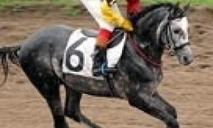 Від заборони грального бізнесу постраждав Черновецький