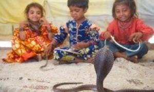 В Індії введено премію 